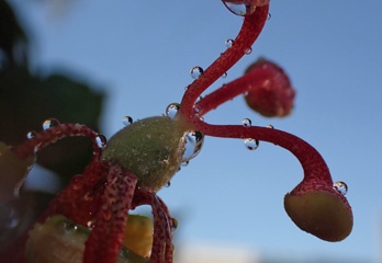 P1144911a.jpg